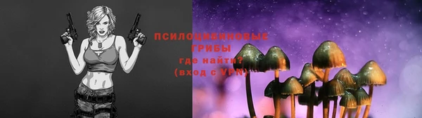 ECSTASY Нязепетровск