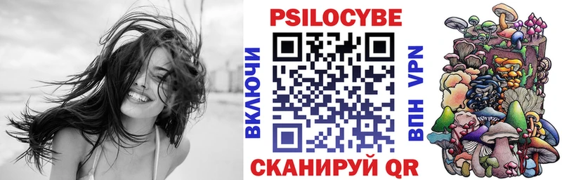 OMG зеркало  Арск  Псилоцибиновые грибы Psilocybine cubensis 